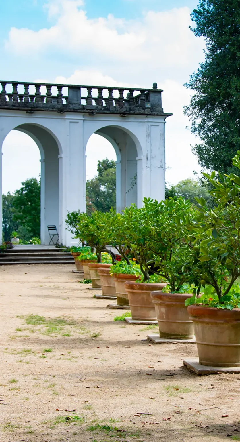Viale delle rose nel parco storico del palazzo, con vasi di limoni e architettura neoclassica sullo sfondo.