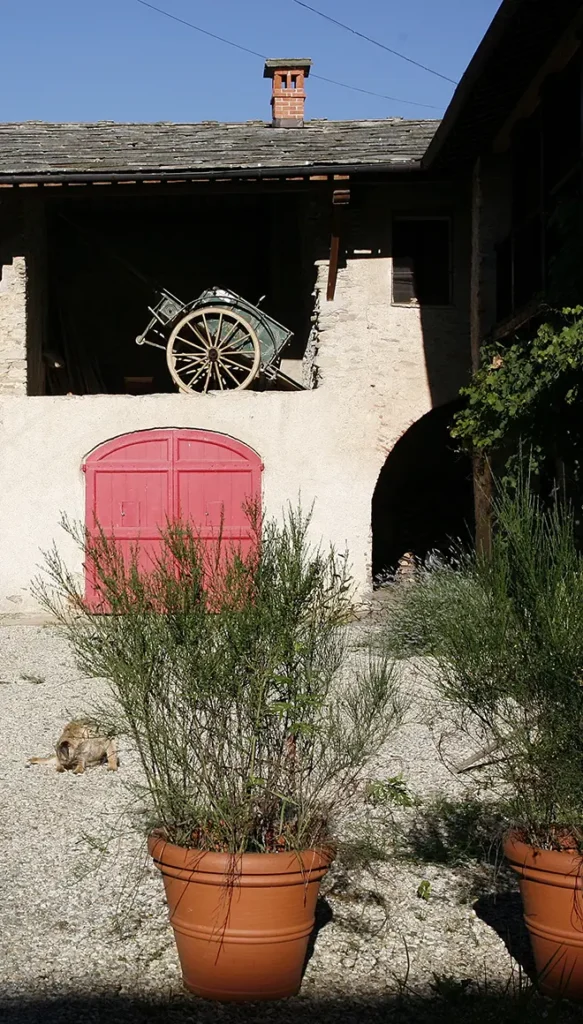 Corte agricola storica del Castello di Bagnolo Piemonte con edifici rurali e carro d’epoca