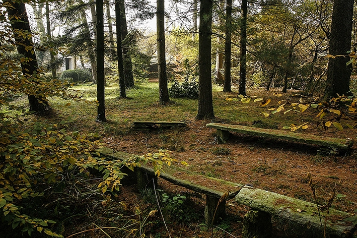 Panchine in pietra nel bosco del parco del Castello di Bagnolo