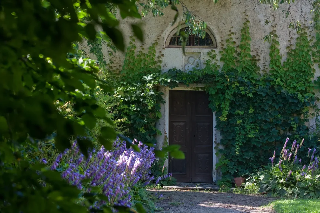 Porta di edificio storico ricoperta di edera nel parco del Castello di Bagnolo