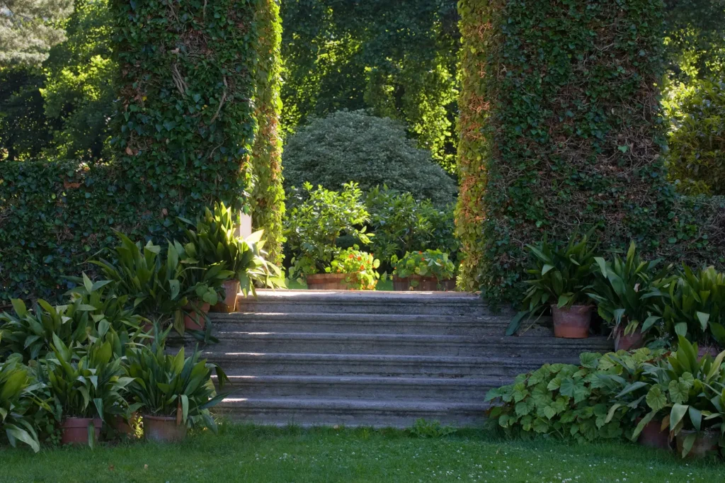 Scala in pietra tra colonne ricoperte di edera nel parco del Castello Malingri