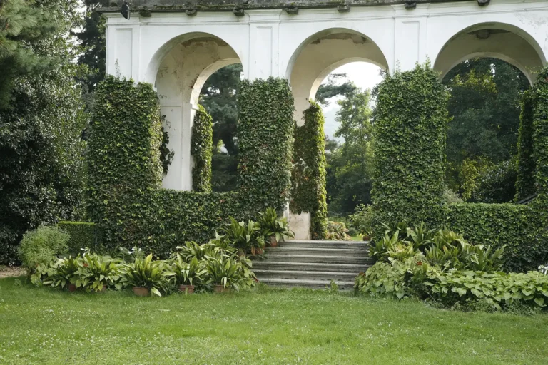 Loggia ad arcate ricoperta di edera nel giardino del Castello di Bagnolo