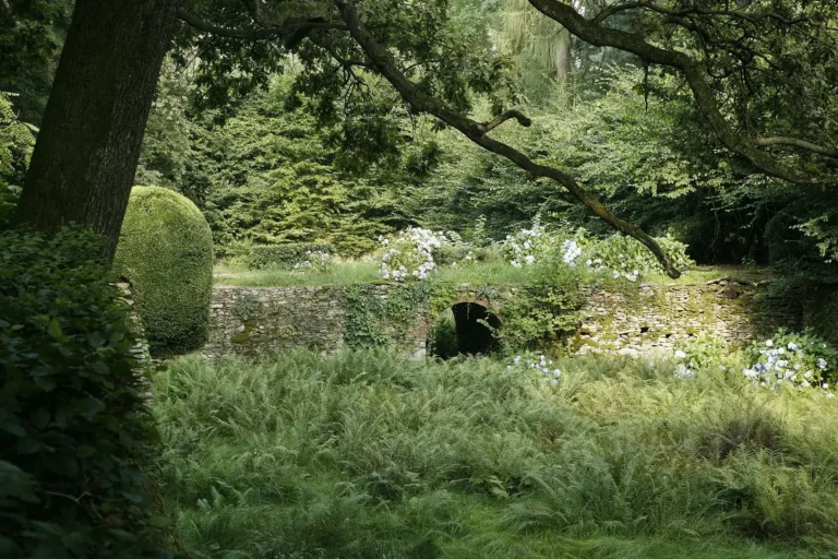 Ponte ad arco in pietra circondato da felci e ortensie nel parco del Castello di Bagnolo