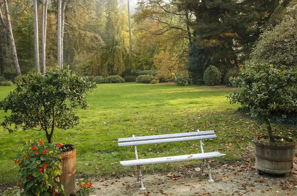 Le grandi sfere bianche della Hydrangea arborescens ‘Annabelle’ illuminano il sottobosco del parco.