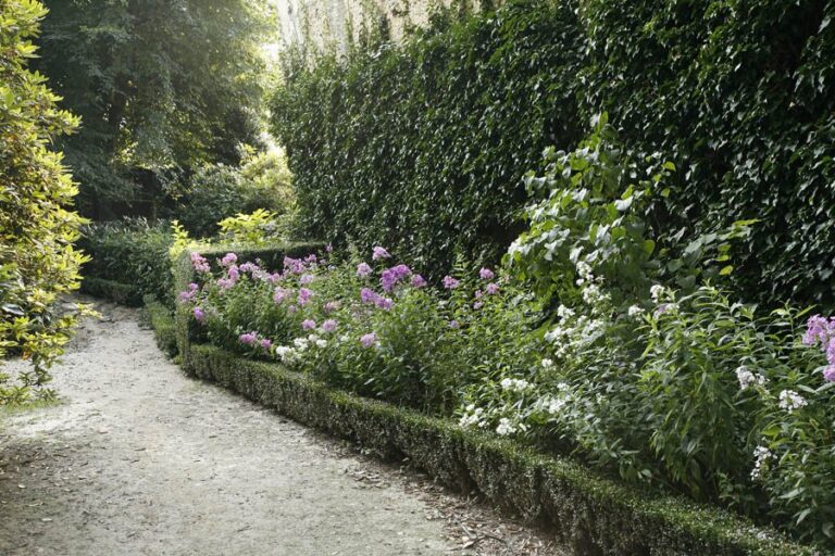 Sentiero del parco con siepi basse e bordure di fiori lungo il camminamento