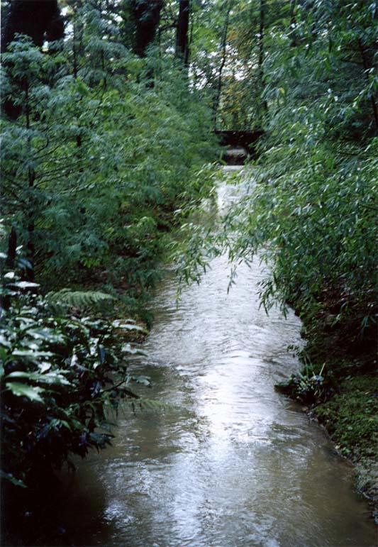 Il Rio Mondarello, piccolo corso d’acqua che attraversa la proprietà del Castello Malingri di Bagnolo, scorre tra la vegetazione del parco creando ambienti freschi e ombreggiati. Lungo le sue rive crescono felci, arbusti e bambù ornamentali che formano un fitto sottobosco. Il rio contribuisce alla varietà paesaggistica del giardino storico e alla presenza di un microclima particolarmente favorevole alla vegetazione.
